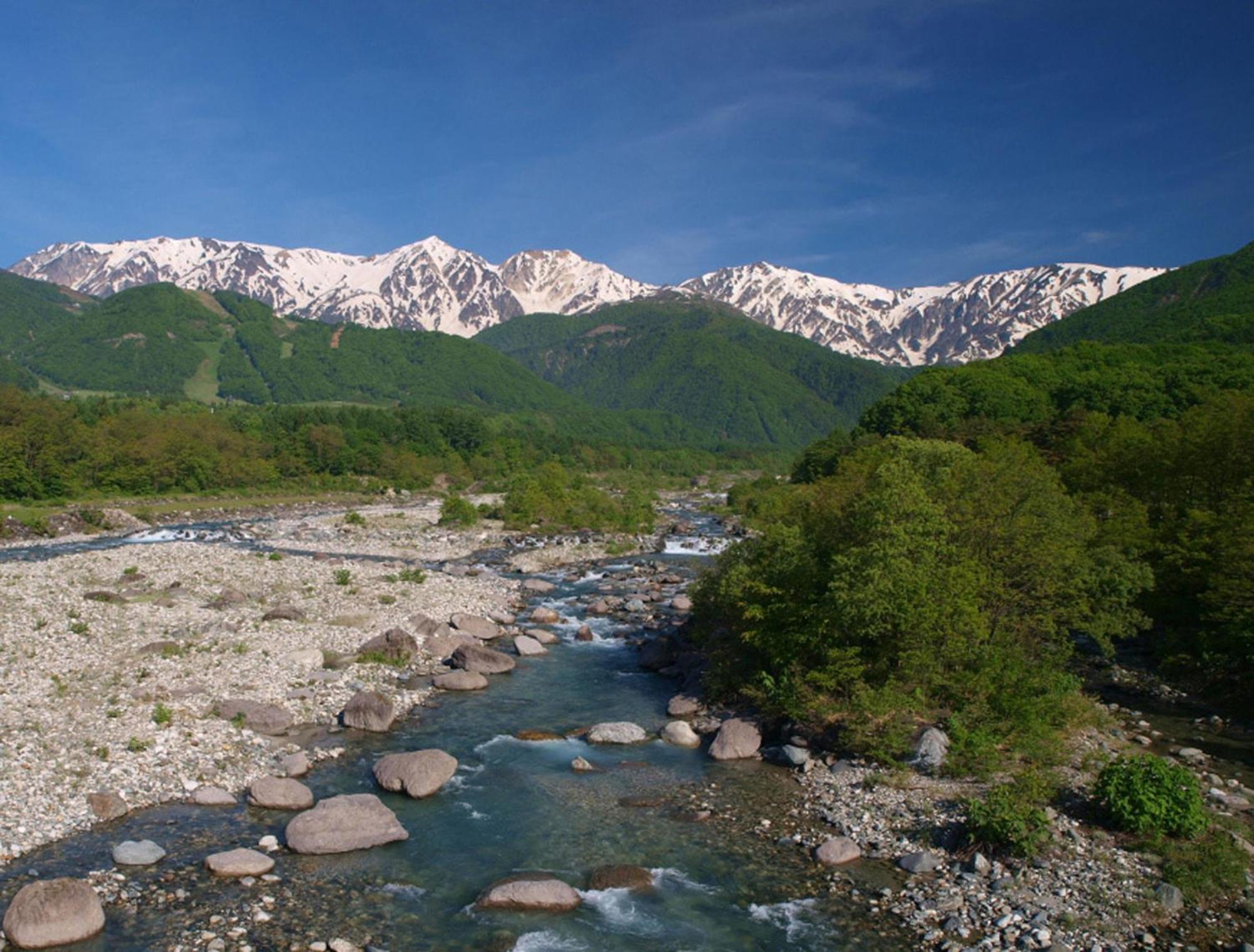 Hakuba Mominoki Hotel Eksteriør bilde