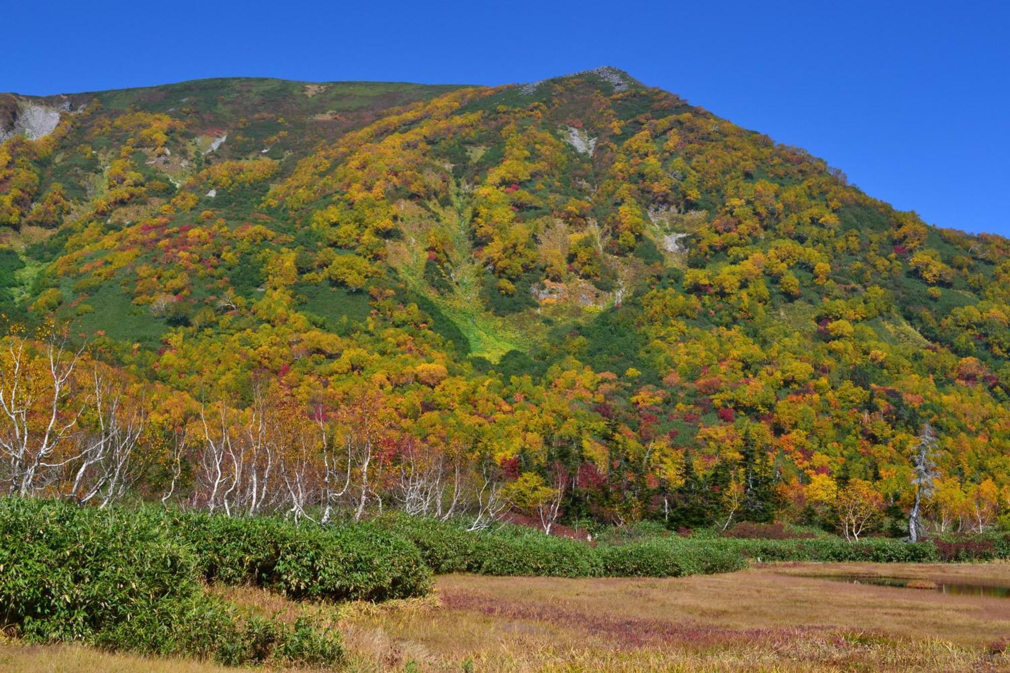 Hakuba Mominoki Hotel Eksteriør bilde